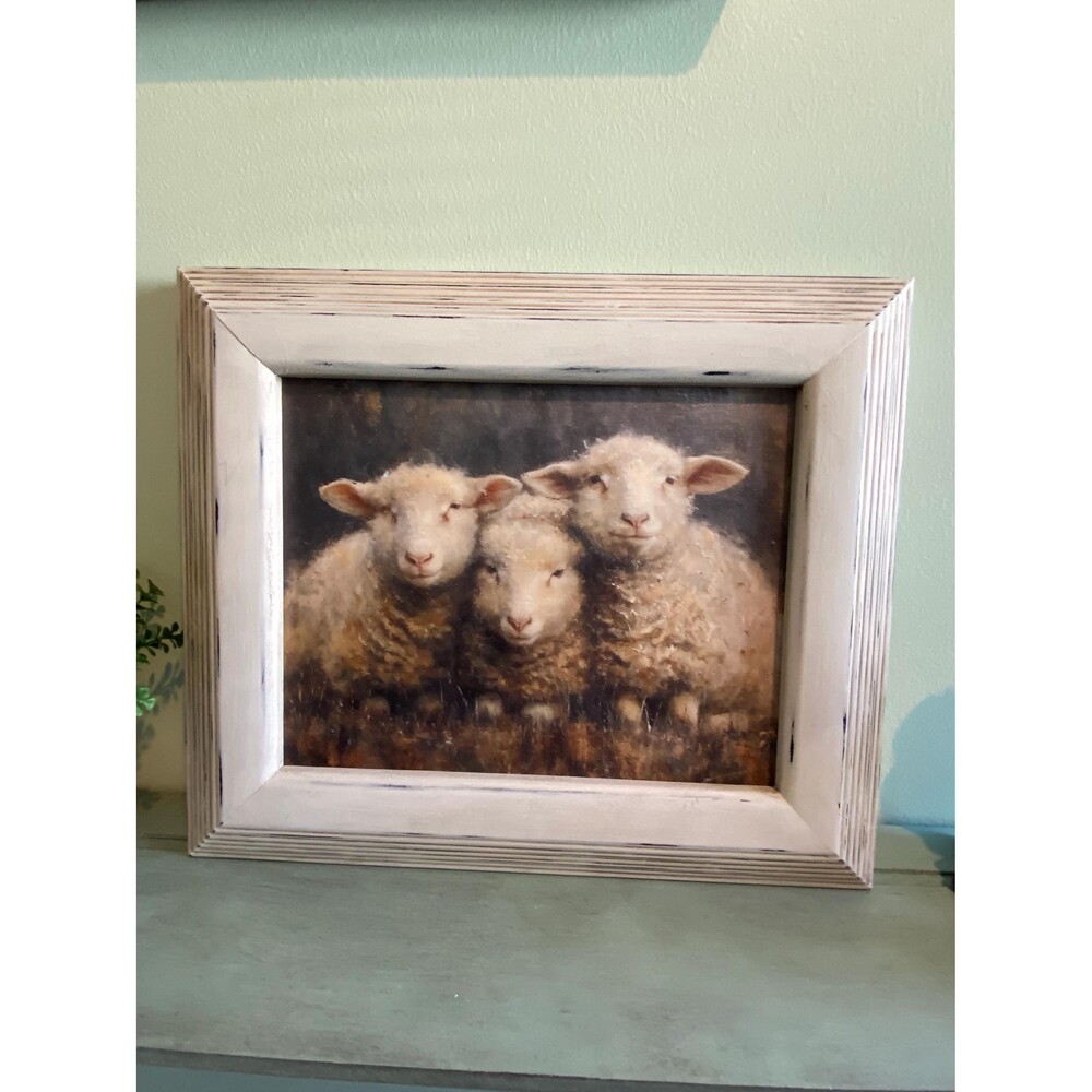 3 Sheep posing on canvas